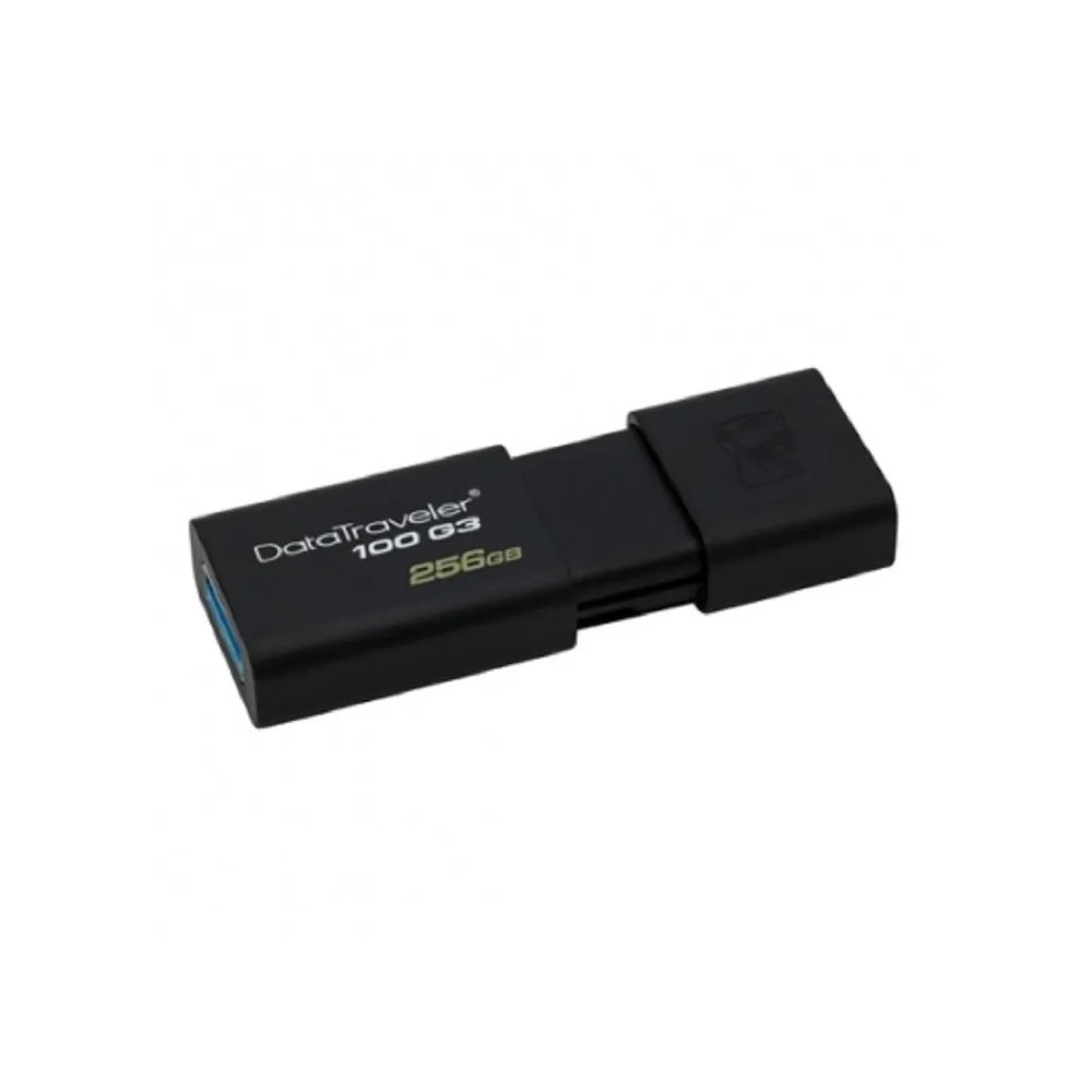 Pendrive 256 Gb Dt100 Kingston