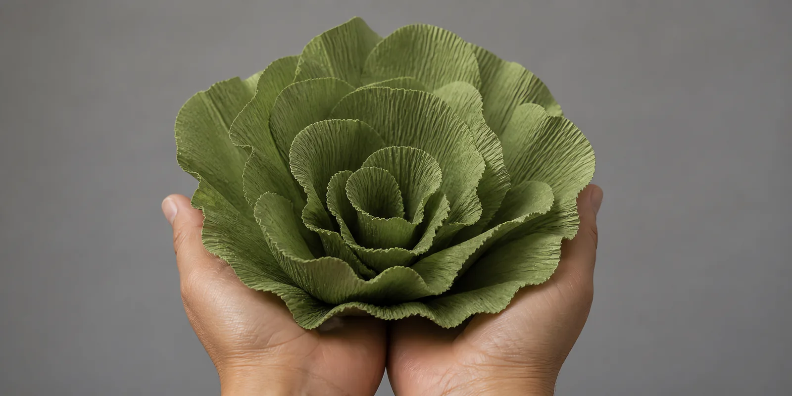 Manos sosteniendo una flor grande de papel crepé verde musgo