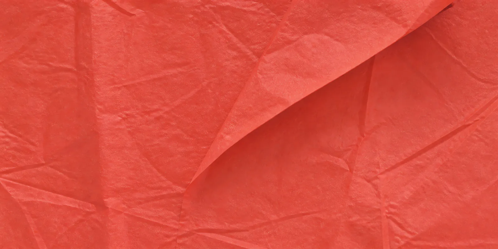 Textura del papel seda coral intenso, con sus arrugas finas y sus pliegues
