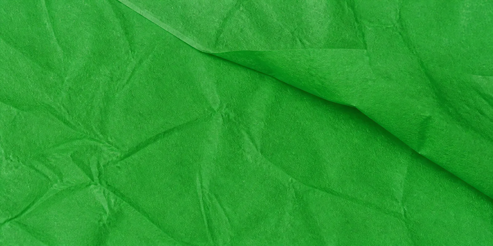Textura del papel seda verde, con sus arrugas finas y sus pliegues