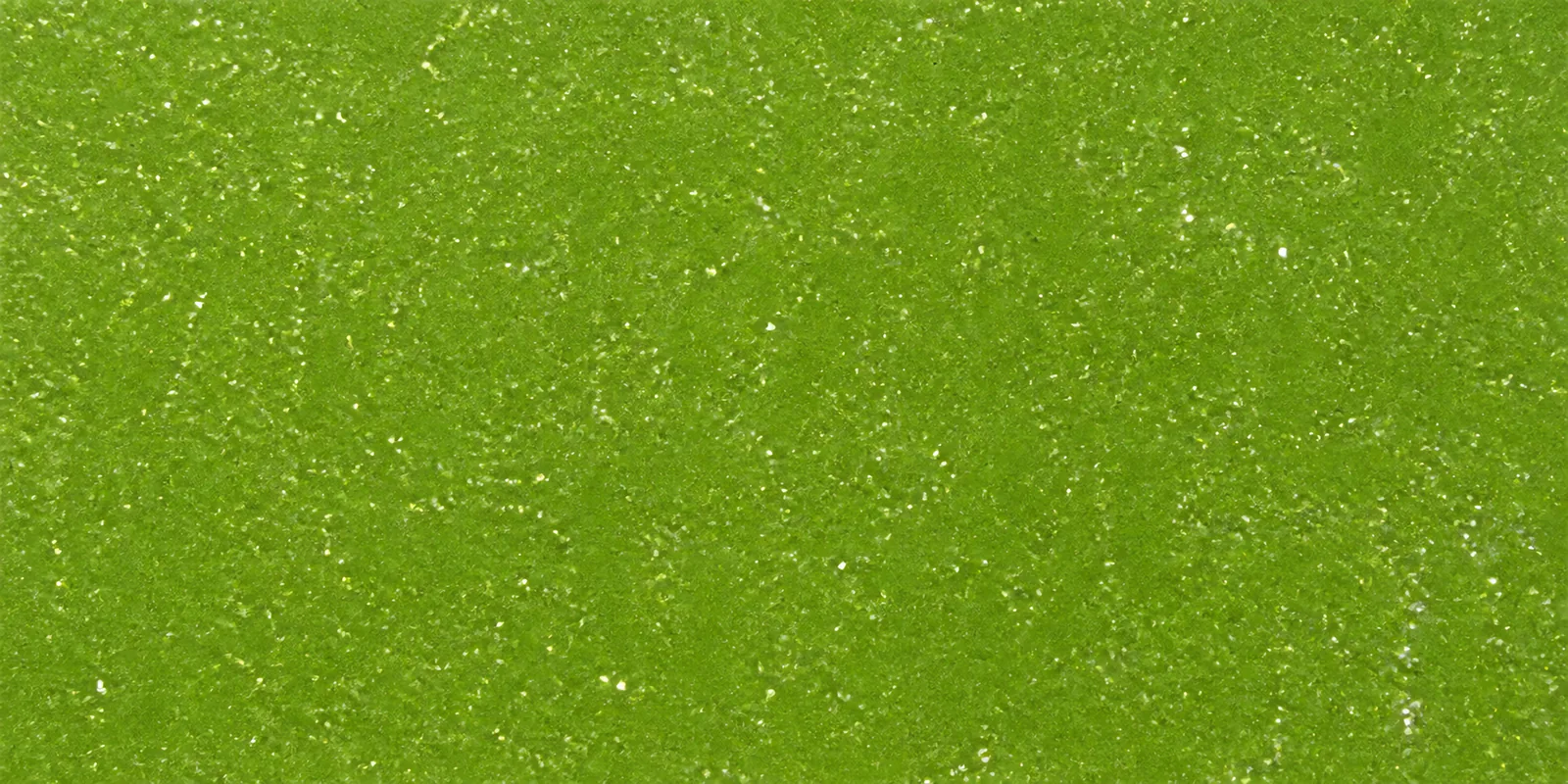 Macro de una hoja verde oliva de Gliterina, con el glitter bajo el film plástico